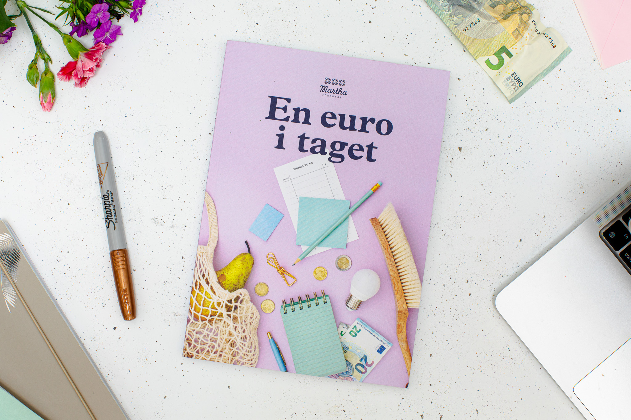 En euro i taget-boken, tredje upplagan