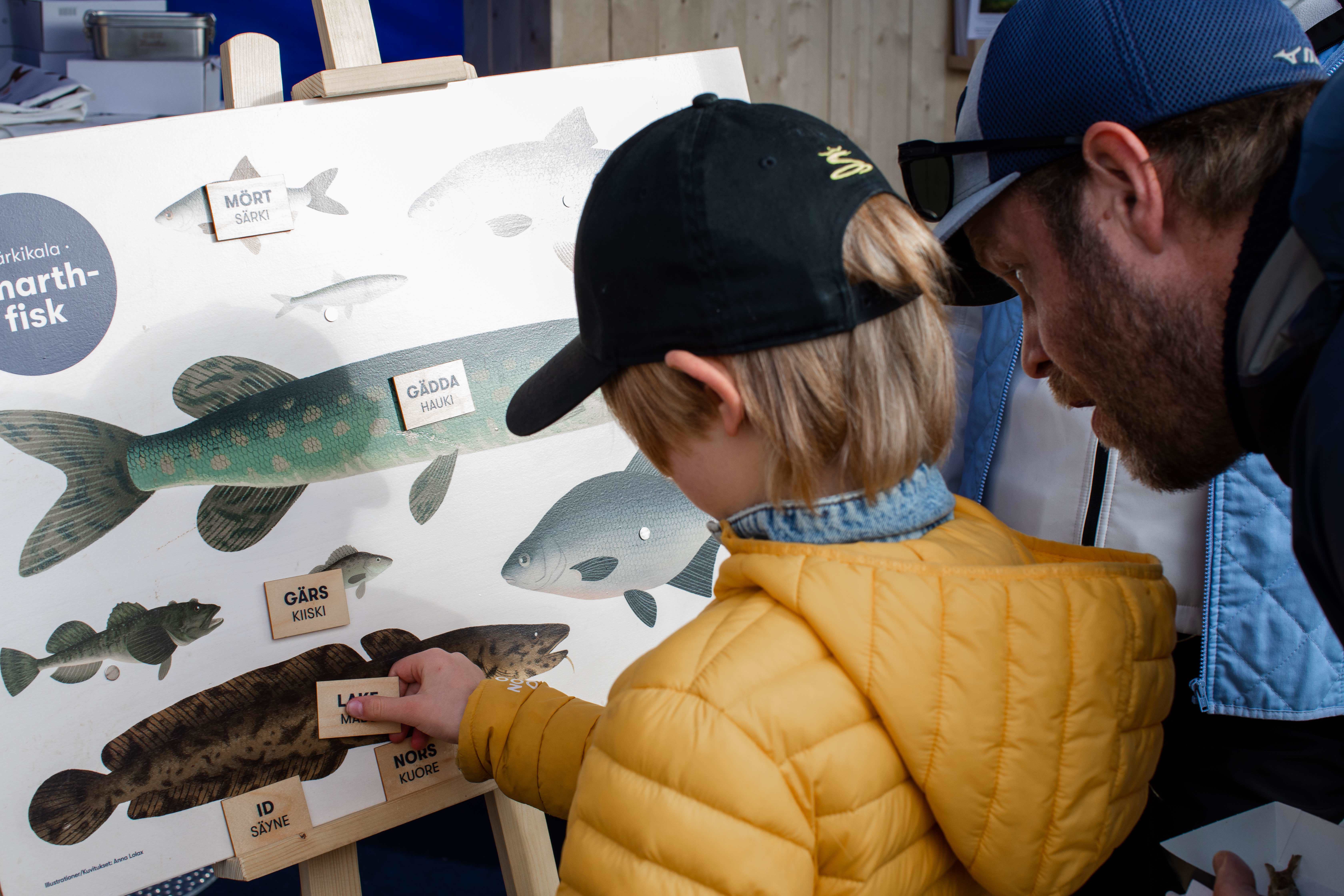 Fisktavla på strömmingsmarknaden