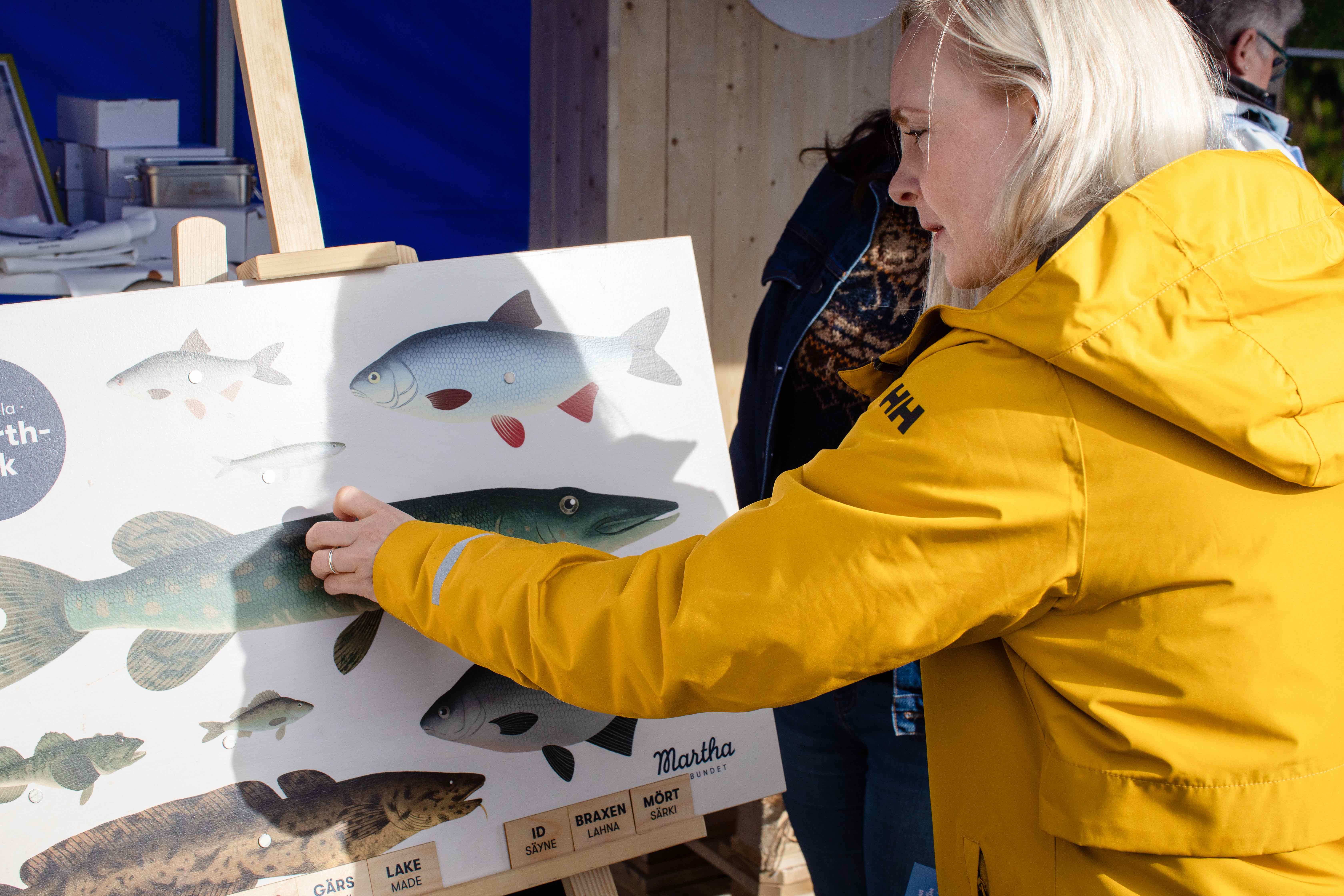 Maria Ohisalo och fisktavlan